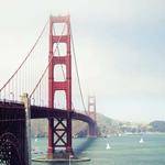 Bridie Hayes Profile Picture