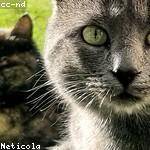 Rosalinda Reichert Profile Picture