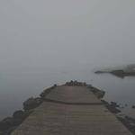 Arjun Oberbrunner Profile Picture