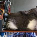 Alexis Sporer Profile Picture