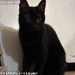 Cleve Hayes Profile Picture