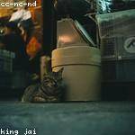 Ona Kling Profile Picture