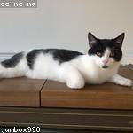 Pearlie Schaden Profile Picture