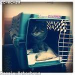 Maggie Nader Profile Picture