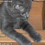 Lolita Stamm Profile Picture