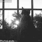 Ottis Nader Profile Picture