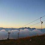 Darby Feest Profile Picture