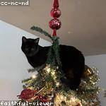 Hayden Brakus Profile Picture