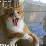 Jefferey Gerhold Profile Picture