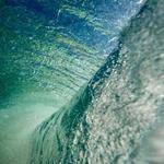 Marquise Lynch Profile Picture