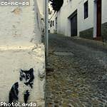 Herminio Koch Profile Picture