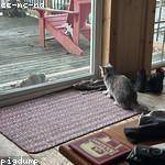 Helena Legros Profile Picture