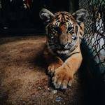 Bennett Lebsack Profile Picture