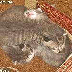 Otto Doyle Profile Picture