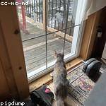 Reba Hane Profile Picture