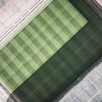 Alvis Runolfsson Profile Picture