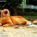 Camille Jacobson Profile Picture