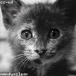 Candida Price Profile Picture