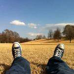 Delphia Greenholt Profile Picture