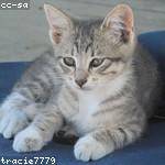 Cathrine Kemmer Profile Picture