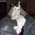 Toby Ernser Profile Picture