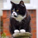 Zane Gutmann Profile Picture