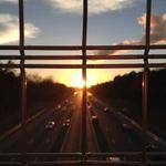 Margarita Mertz Profile Picture