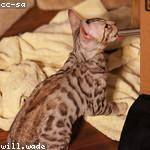 Kian Barton Profile Picture