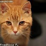 Lizzie Cronin Profile Picture