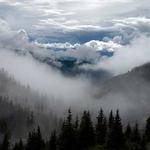 Jay Metz Profile Picture