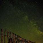 Rosie Harvey Profile Picture