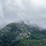 Gudrun Rippin Profile Picture