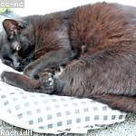 Kaitlin Stoltenberg Profile Picture