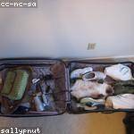 Lindsay Gottlieb Profile Picture