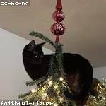 Urban Gorczany Profile Picture