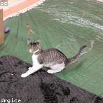 Bertrand Kutch Profile Picture