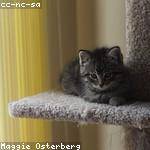 Vilma Treutel Profile Picture