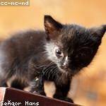 Gerhard Bartoletti Profile Picture