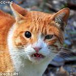 Colten Hettinger Profile Picture