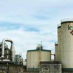 Kevin Labadie Profile Picture