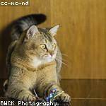 Sonia Bernier Profile Picture