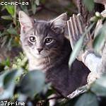 Conor Willms Profile Picture