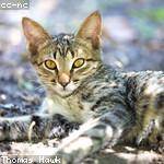 Freida Kuphal Profile Picture