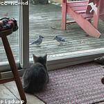 Jamison Bradtke Profile Picture