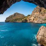 Garry Howe Profile Picture