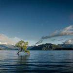 Angelina Kuvalis Profile Picture