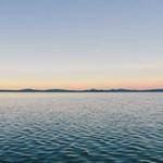 Freddie Gibson Profile Picture