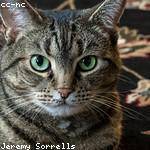 Vella Kling Profile Picture