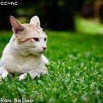 Nella Hamill Profile Picture