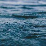 Hester Schumm Profile Picture